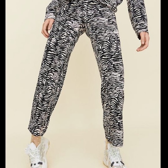 Aritzia Little Moon Zebra Pants 